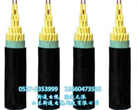 點擊查看詳細(xì)信息<br>標(biāo)題：礦用控制電纜護(hù)套編織屏蔽控制電纜MKVVP-450/750/礦用控制電纜型號一覽/山東新通電纜 閱讀次數(shù)：3978